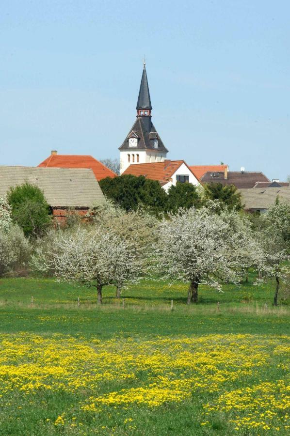Heidepension Anja Hohenleipisch Exterior foto